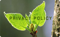 PRIVACY POLICY